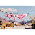 Desert Blush on the Line