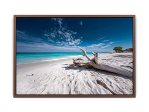 Driftwood Horizon coastal artwork for modern living room decor