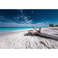 Driftwood Horizon coastal artwork for modern living room decor