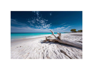 Driftwood Horizon coastal artwork for modern living room decor