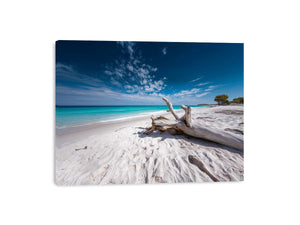 Driftwood Horizon coastal artwork for modern living room decor