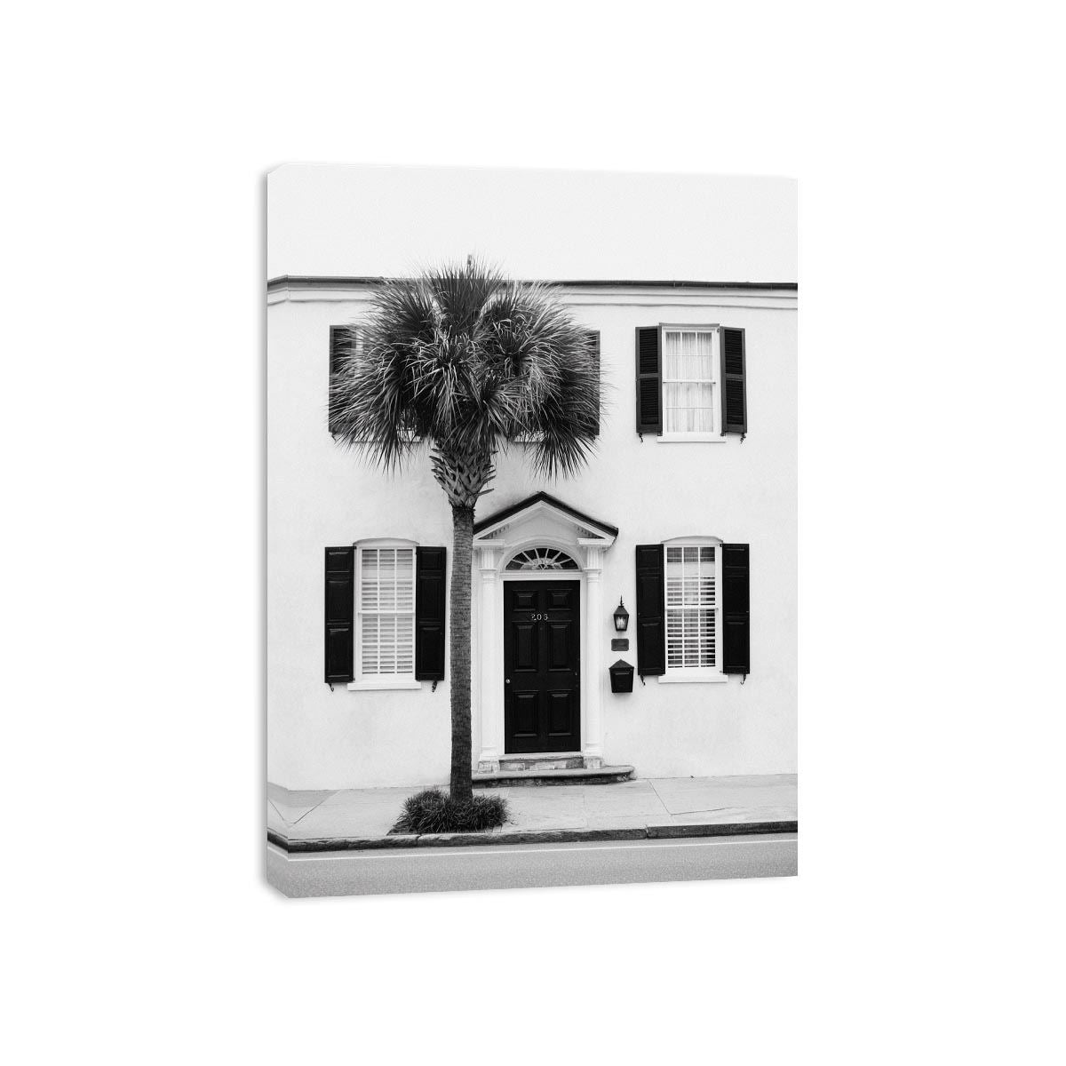 Palm House Noir coastal artwork for modern living room decor