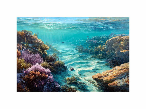 port noarlunga reef