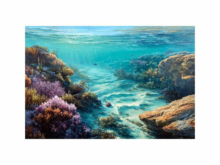 port noarlunga reef