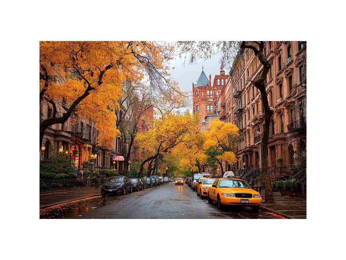 Autumn city street canvas art with yellow taxis and brownstone buildings for office decor.