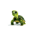 Cute green turtle canvas art on white background for nursery or kids room decor.