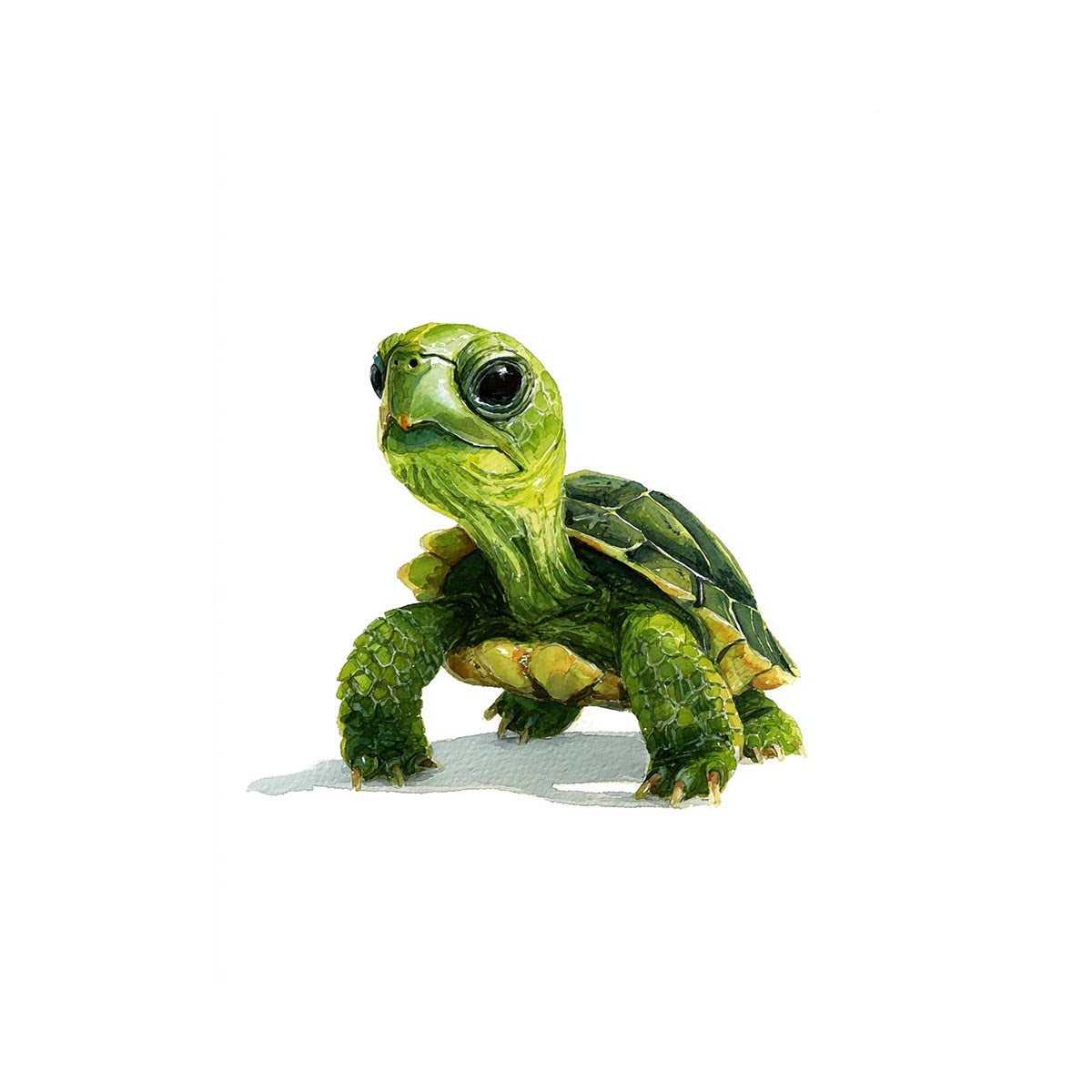 Cute green turtle canvas art on white background for nursery or kids room decor.