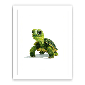 Cute green turtle canvas art on white background for nursery or kids room decor.