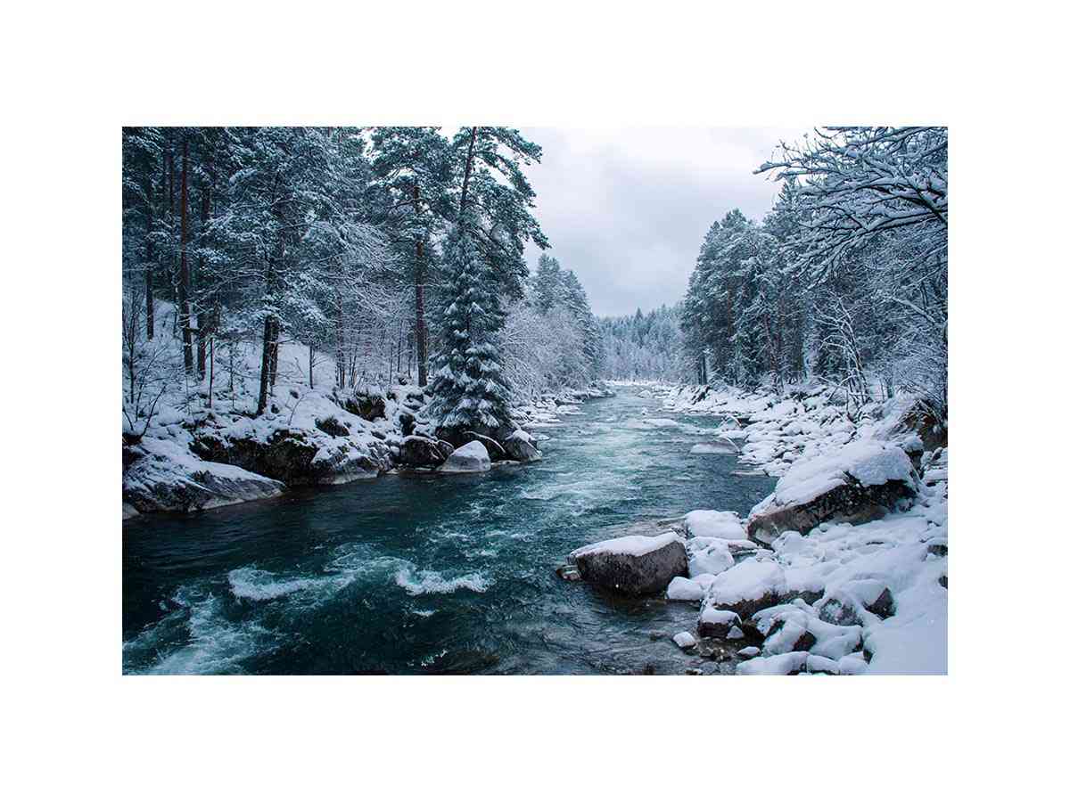 Snowy forest river photography print for calm modern office wall decor.