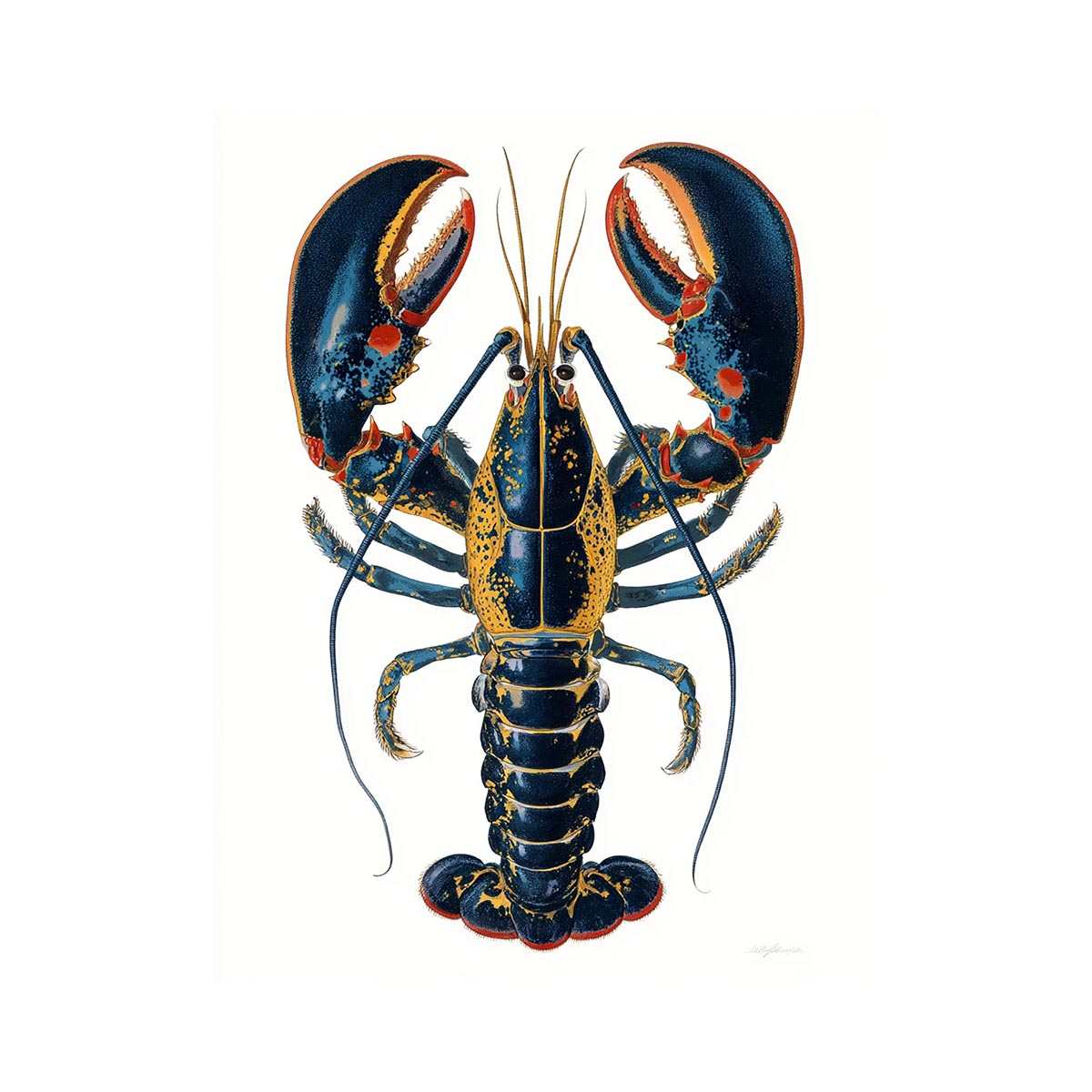 Blue and gold lobster illustration print for coastal kitchen and dining room decor.