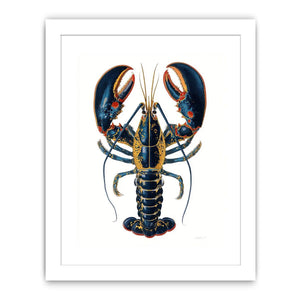 Blue and gold lobster illustration print for coastal kitchen and dining room decor.