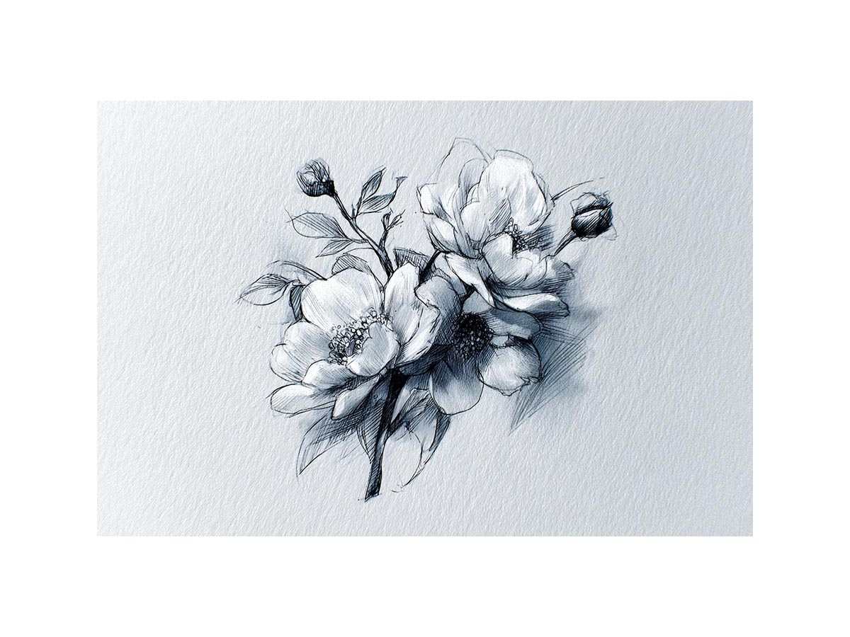 Elegant floral line art sketch with flowers and buds for calm bedroom decor.