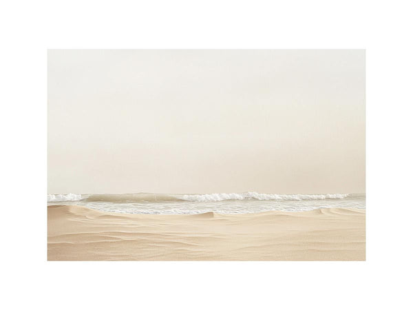 Seashell Haze