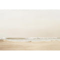 Seashell Haze