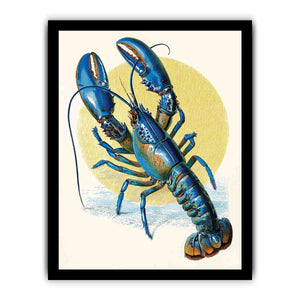 Vintage blue lobster illustration canvas art for coastal kitchen or dining room decor.