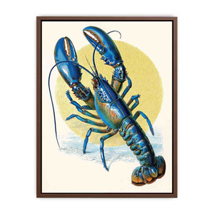 Vintage blue lobster illustration canvas art for coastal kitchen or dining room decor.