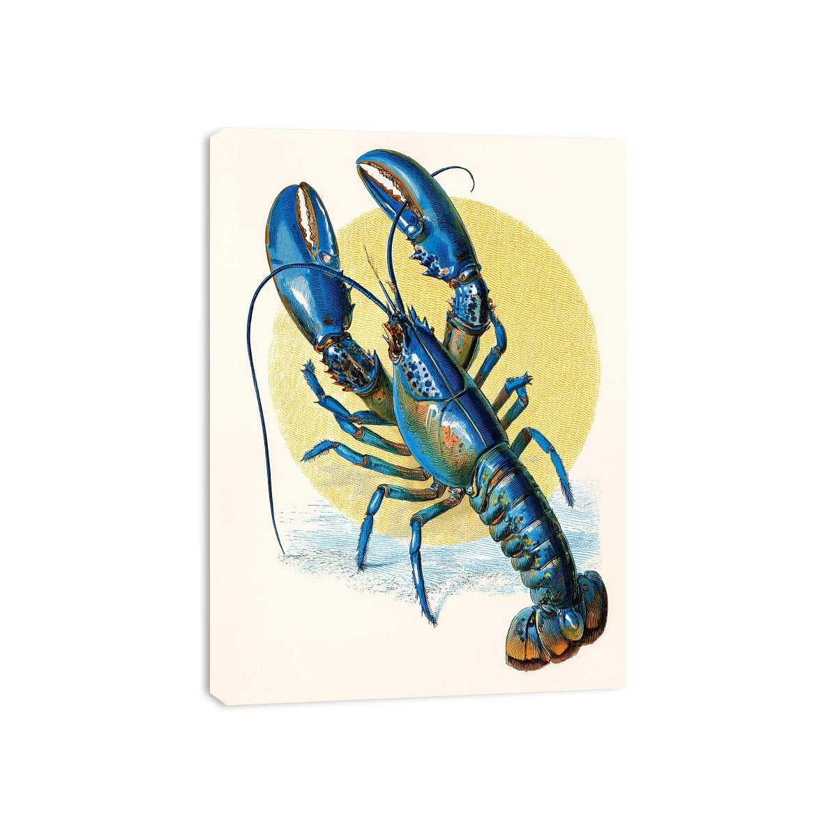 Vintage blue lobster illustration canvas art for coastal kitchen or dining room decor.