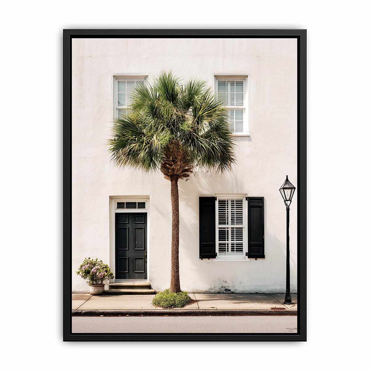 Elegant palm tree beside white coastal architecture for modern living room decor.
