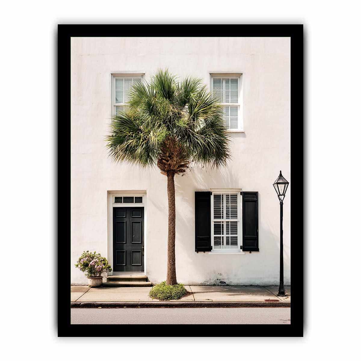 Elegant palm tree beside white coastal architecture for modern living room decor.