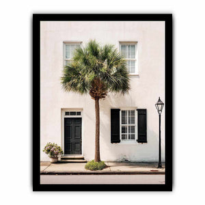 Elegant palm tree beside white coastal architecture for modern living room decor.
