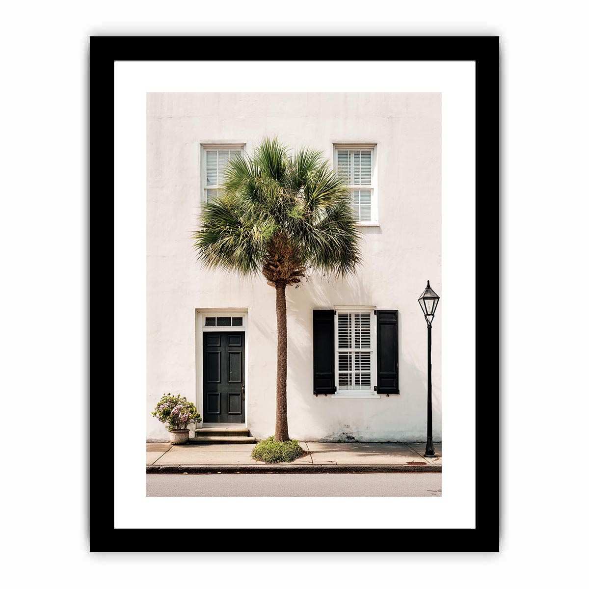 Elegant palm tree beside white coastal architecture for modern living room decor.