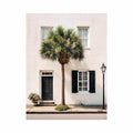 Elegant palm tree beside white coastal architecture for modern living room decor.