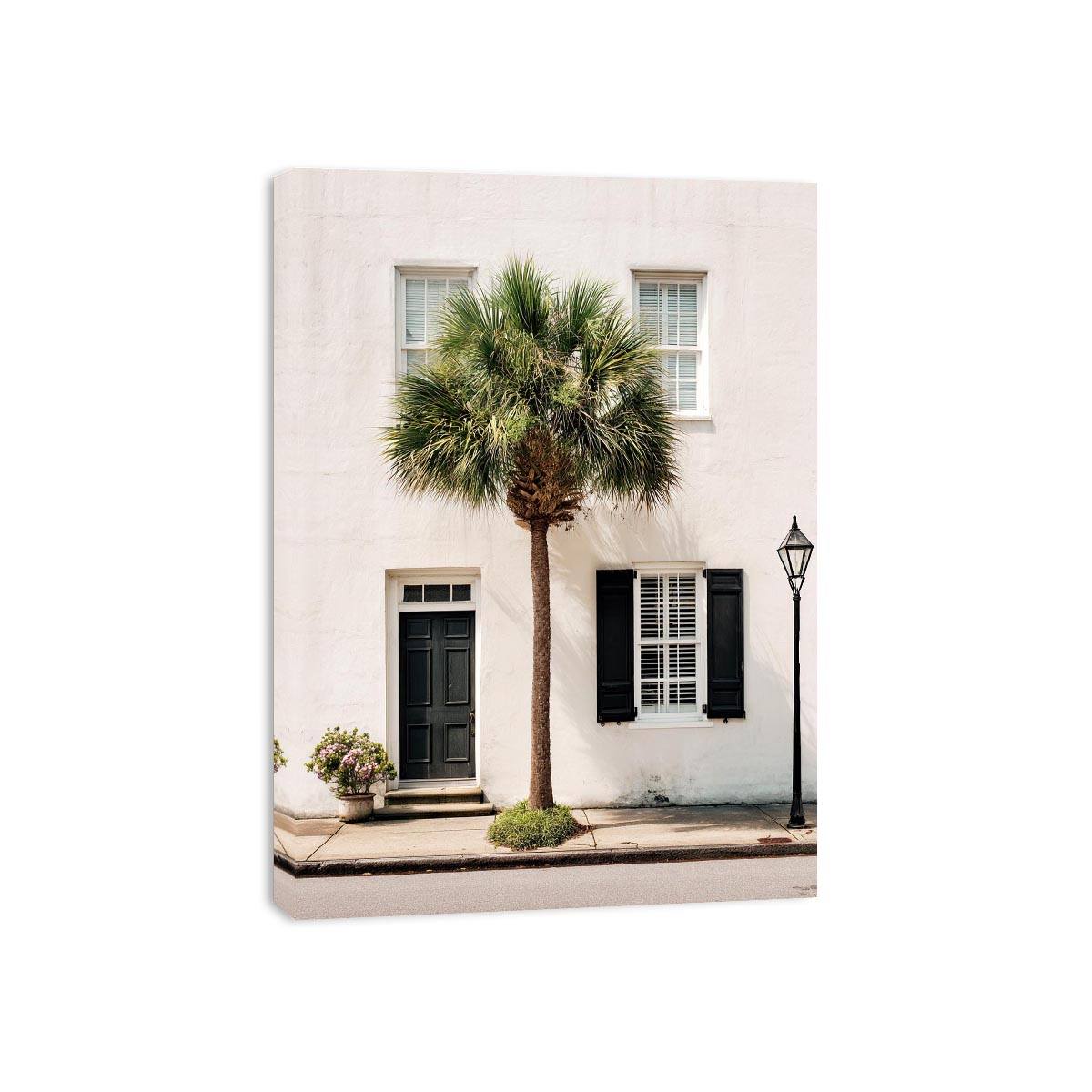 Elegant palm tree beside white coastal architecture for modern living room decor.