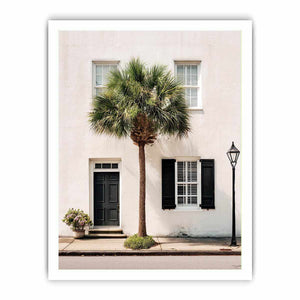Elegant palm tree beside white coastal architecture for modern living room decor.