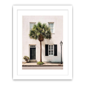 Elegant palm tree beside white coastal architecture for modern living room decor.