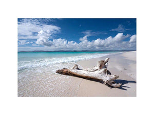 Peaceful beach and driftwood canvas art for coastal bedroom decor.