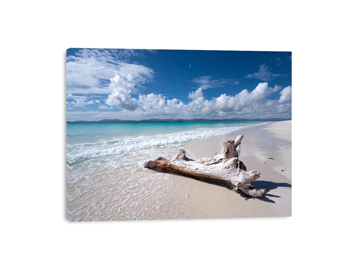 Peaceful beach and driftwood canvas art for coastal bedroom decor.