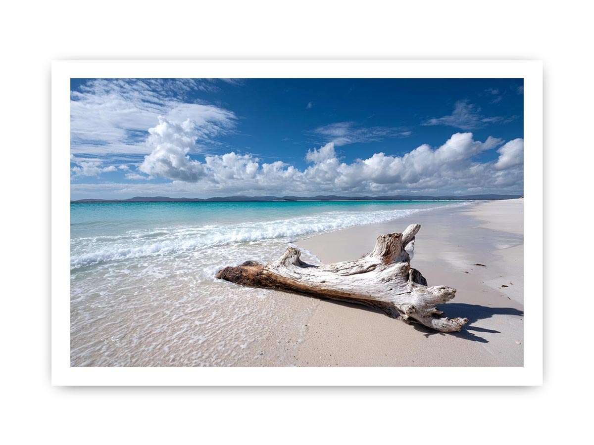 Peaceful beach and driftwood canvas art for coastal bedroom decor.