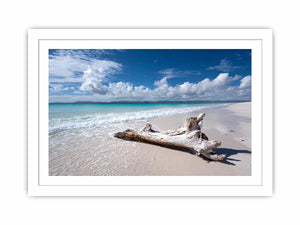 Peaceful beach and driftwood canvas art for coastal bedroom decor.