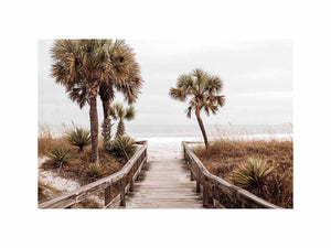 Coastal boardwalk photography with palm trees and ocean for beach house living room decor
