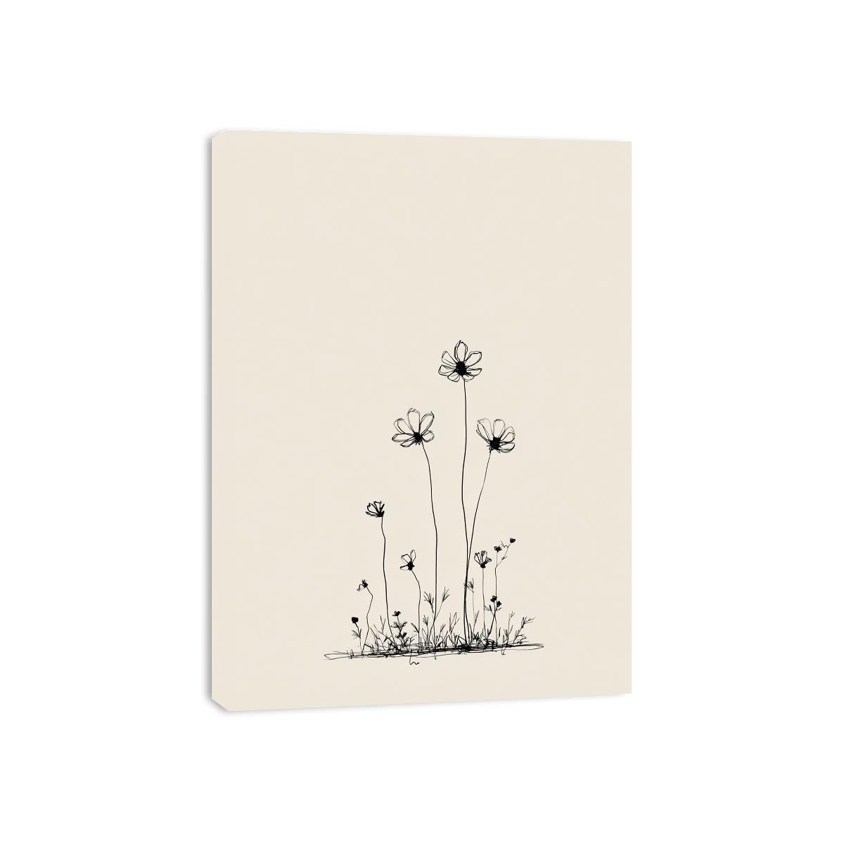 Streched canvas
