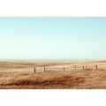 Golden Australian Plains