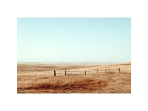 Golden Australian Plains