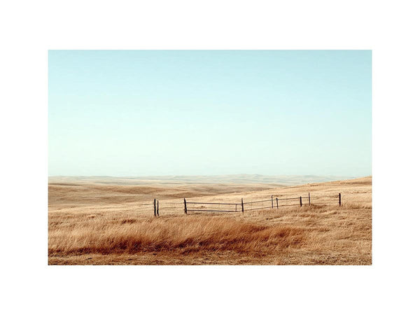 Golden Australian Plains