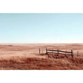 Whispering Drylands