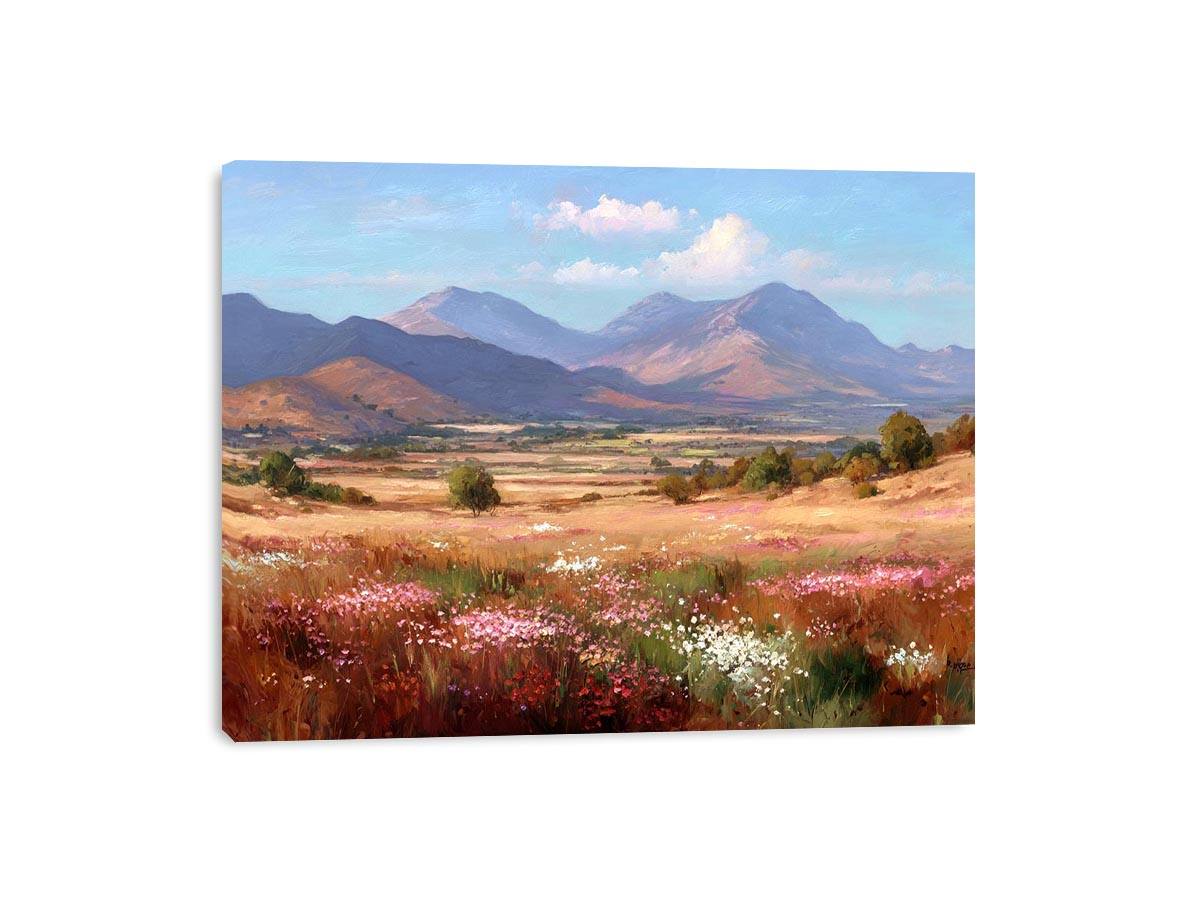 Streched canvas