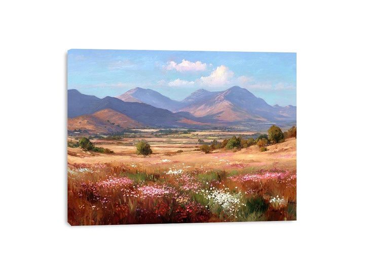 Streched canvas