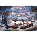 New York Central park In winter