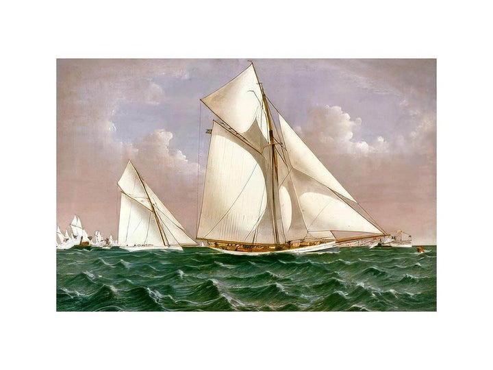 America's Cup, 1886