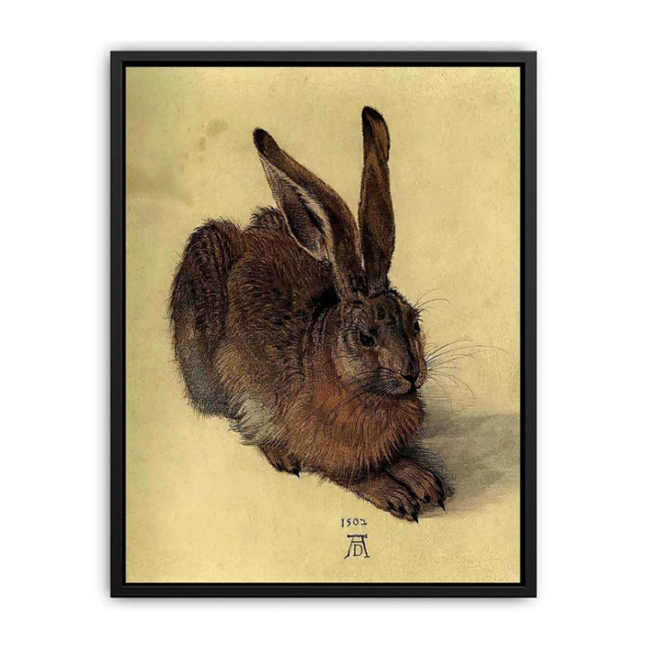 Young Hare I Canvas Print
