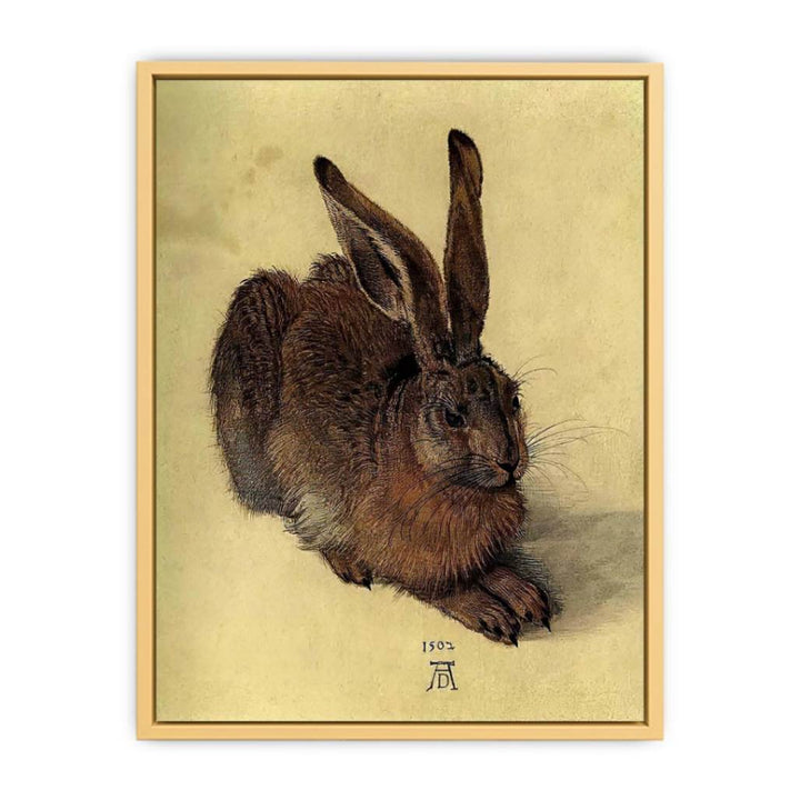 Young Hare I Streched canvas
