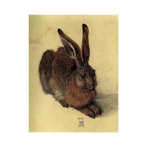 Young Hare I by Albrecht Durer