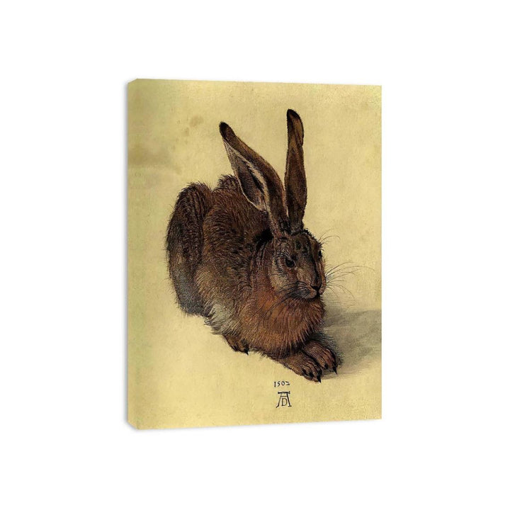Young Hare I  Painting