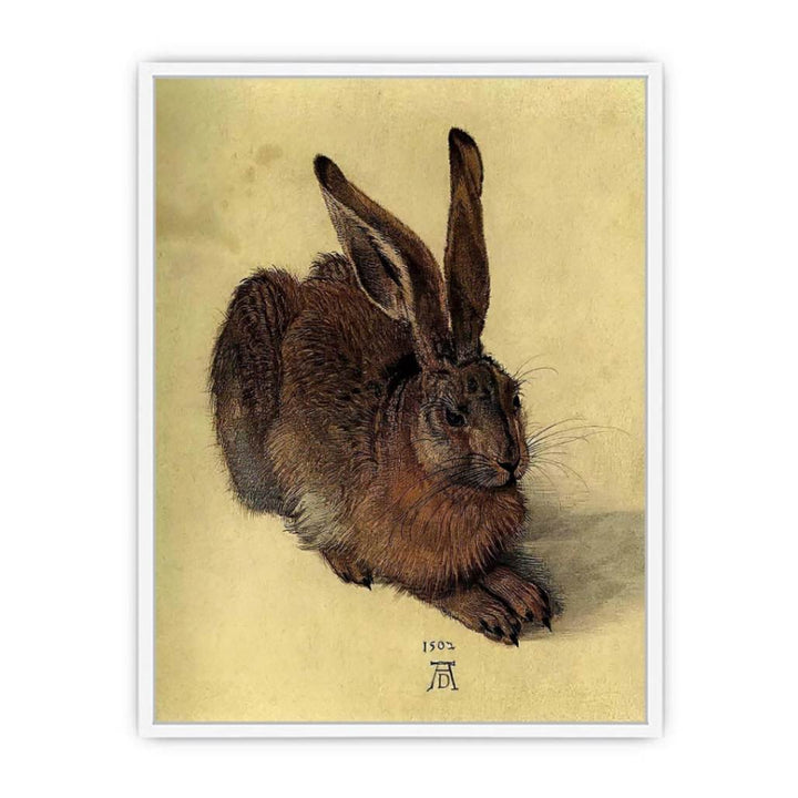 Young Hare I Framed Print