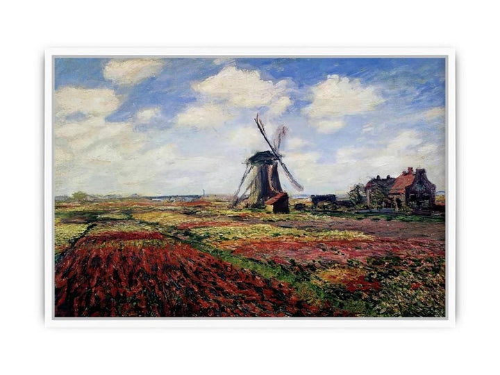 Field Of Tulips In Holland Framed Print