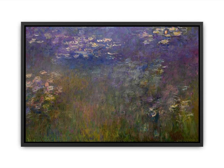 Agapanthus (center panel) Canvas Print